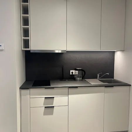 Apartment By The Oak Vilnius